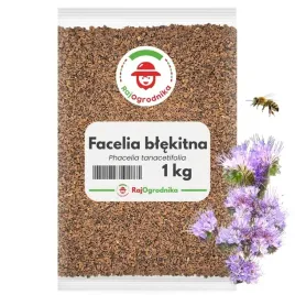 facelia-blekitna-1-kg-roslina-na-poplon-miododajna-dla-pszczol-rajogrodnika