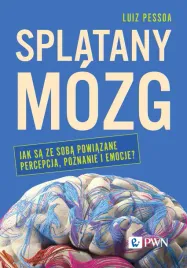 splatany-mozg-jak-sa-ze-soba-powiazane-percepcja-poznanie-i-emocje