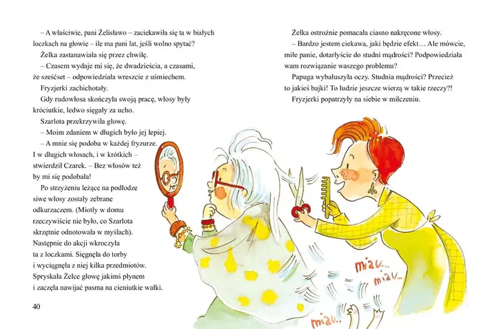 baba-blaga-tytul-baba-blaga