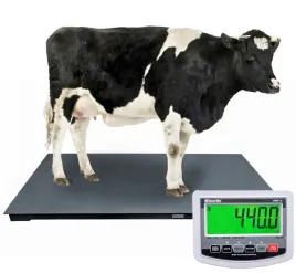 waga-do-bydla-15x2m-do-3-ton-do-krow-do-swin-inwentarzowa-zwierzeca