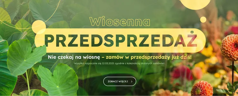 undefined_undefined
