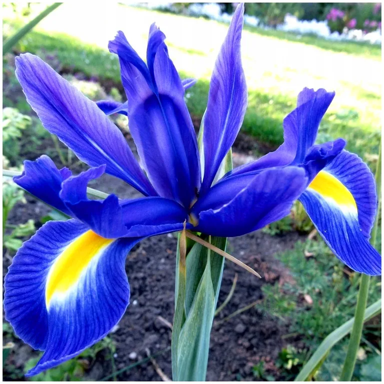 undefined_undefined