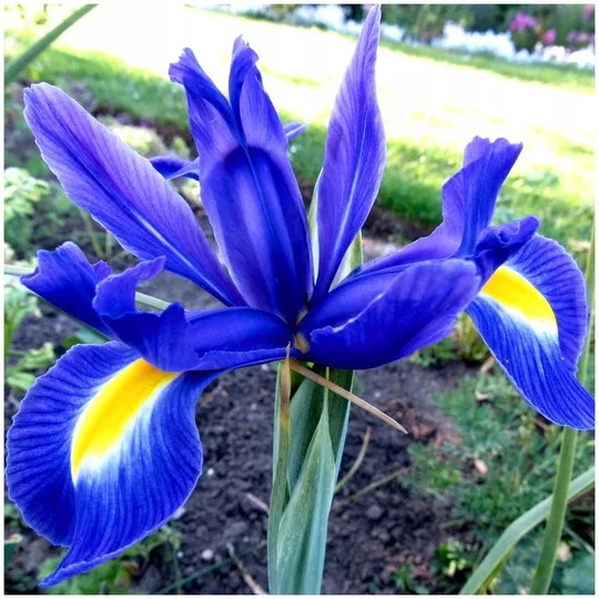 undefined_undefined