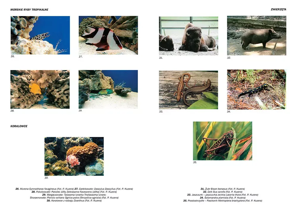 encyklopedia-szkolna-biologia-stan-nowy