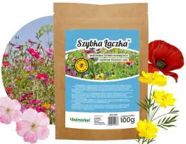 nasiona-kwiatow-polnych-laka-100g-laczka-kwiaty-polne-ziola-szybko-kwitnie