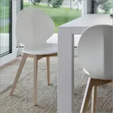 krzeslo-dankor-design-basil-calligaris-kolory-marka-inny-producent