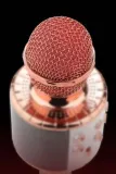 mikrofon-bezprzedwodowy-karaoke-handheld-kod-producenta-a11