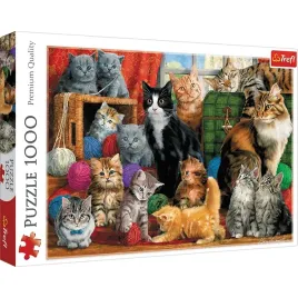 puzzle-1000-kocie-spotkanie-trefl