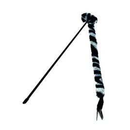 buba-kot-wedka-zebra