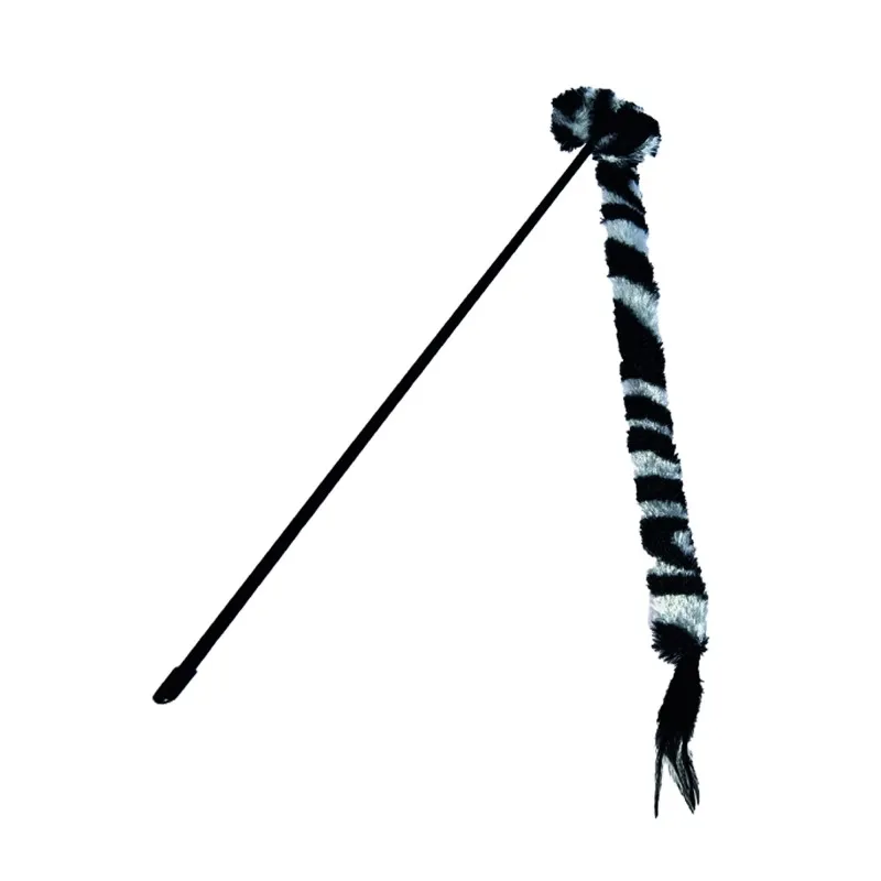 buba-kot-wedka-zebra