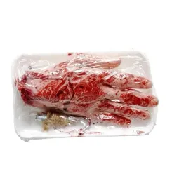 krwawa-dlon-na-tacy-laboratorium-halloween