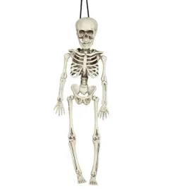 szkielet-wiszacy-kosciotrup-40cm-halloween-kostek