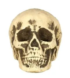czaszka-ozdoba-straszna-foam-halloween-22cm-czacha