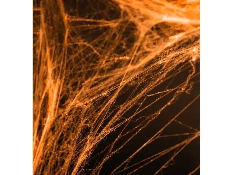 pajeczyna-pomarancz-halloween-60g