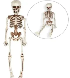 dekoracja-szkielet-kosciotrup-40-cm-halloween