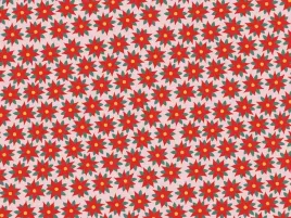 papier-do-pakowania-70x200-cm-gwiazda-betlejemska