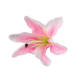 glowki-kwiatow-lilie-rozowe-6szt-dekoracja