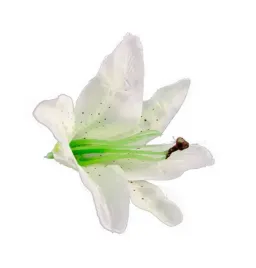 glowki-kwiatow-lilie-biale-6szt-dekoracja