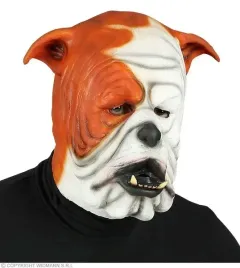 maska-lateksowa-psa-buldoga-buldog-rudo-bialy