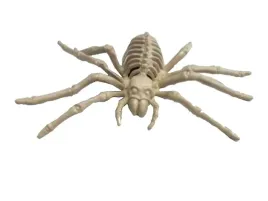 szkielet-pajaka-pajak-24-cm-dekoracja-halloween