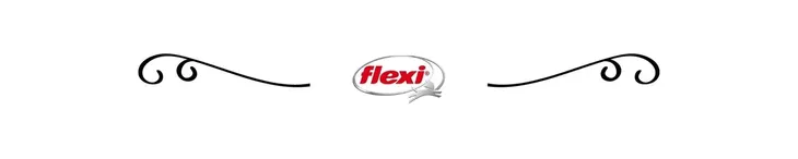 led-lighting-system-flexi-latarka-do-smyczy-stan-nowy