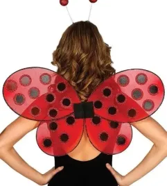 skrzydla-czerwone-w-kropki-biedronki-biedronka