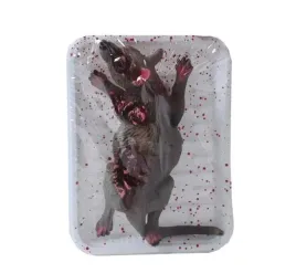 dekoracja-martwy-szczur-na-tacce-tacy-horror-z-sztuczna-krwia-halloween