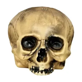 czaszka-bez-brody-20-cm-dekoracja-halloween