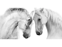 podkladka-ochronna-na-biurko-120x60-konie-kon