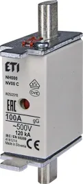 eti-wkladka-topikowa-nh000-gg-100a-500v-004181214