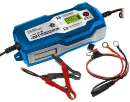 dedra-prostownik-mikroprocesorowy-ladowarka-10a-6-12v-3-200ah-depm022lfp