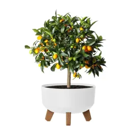 doniczka-na-nozkach-okragla-biala-23-cm-plastikowa-38-l-drenaz-dgrl240l