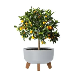 doniczka-na-nozkach-okragla-23-cm-plastikowa-38-l-drenaz-dgrl240l-szara
