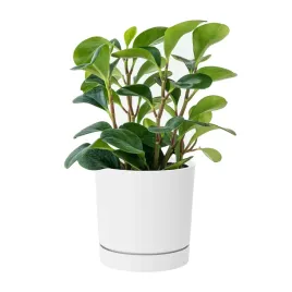 okragla-doniczka-niska-donica-tubo-p-dpop110-biala
