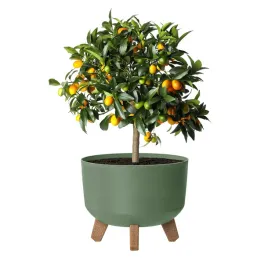 doniczka-na-nozkach-okragla-24-cm-plastikowa-51-l-drenaz-dgrl240-zielona