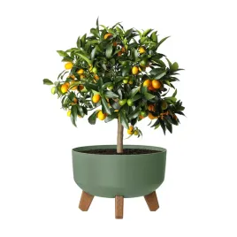 doniczka-na-nozkach-okragla-23-cm-plastikowa-38-l-drenaz-dgrl240l-zielona