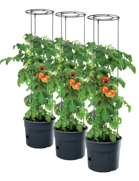 3X Doniczka do uprawy pomidorów Planter IPOM300