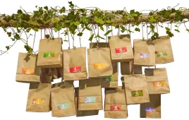 kalendarz-adwentowy-zadania-ciekawostki-24szt