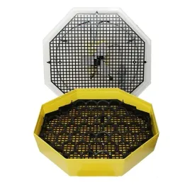 inkubator-wylegarka-cleo-5-taca-polautomatyczna
