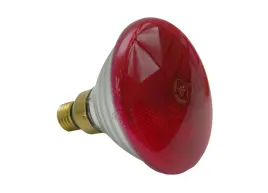 zarowka-promiennik-podczerwony-100w-dla-pisklat