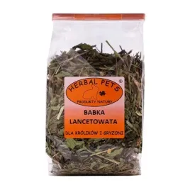 babka-lancetowata-karma-przysmak-dla-gryzoni