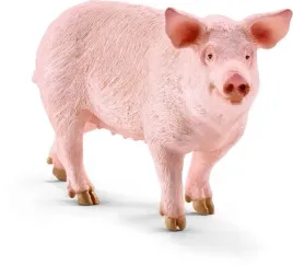 schleich-swinia-13782