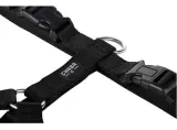 chaba-szelki-guard-l-25cm-czarne-stan-nowy-kolor-odcienie-rozowego-odcienie-szarosci-odcienie-zieleni-czarny-zloty-odcienie-niebieskiego-grafitowy-rozowy-szary-wielokolorowy-czerwony-niebieski-brazowy-odcienie-czerwieni-zolty-kremowy-odcienie-zoltego