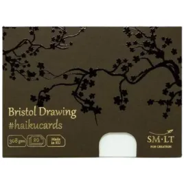 smlt-haiku-cards-bristol-w-pudelku-147x106-mm-20-ark-308-g-c-20-308