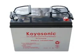 akumulator-zelowy-koyosonic-npg-100ah-12-volt