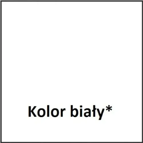 polinit-3000-mat-5l-bialy