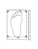 buty-robocze-ze-salka-noskiem-proof-kaps3-s1p-src-stan-nowy-dlugosc-wkladki-25-4-cm