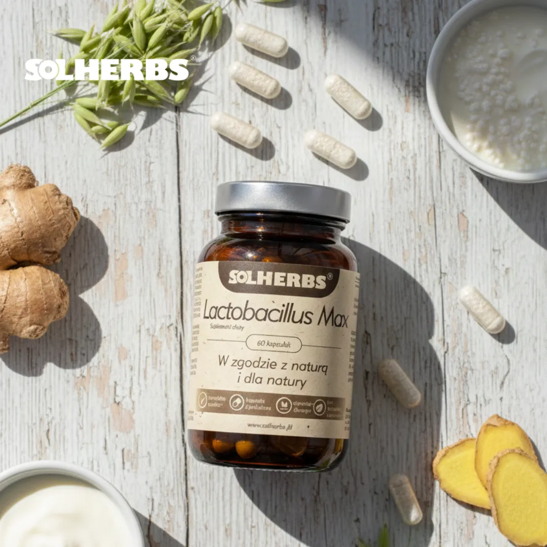 lactobacillus-max-solherbs