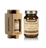 kwas-hialuronowy-solherbs-postac-kapsulki
