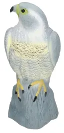 sokol-odstraszacz-ptakow-szpakow-golebi-myszy